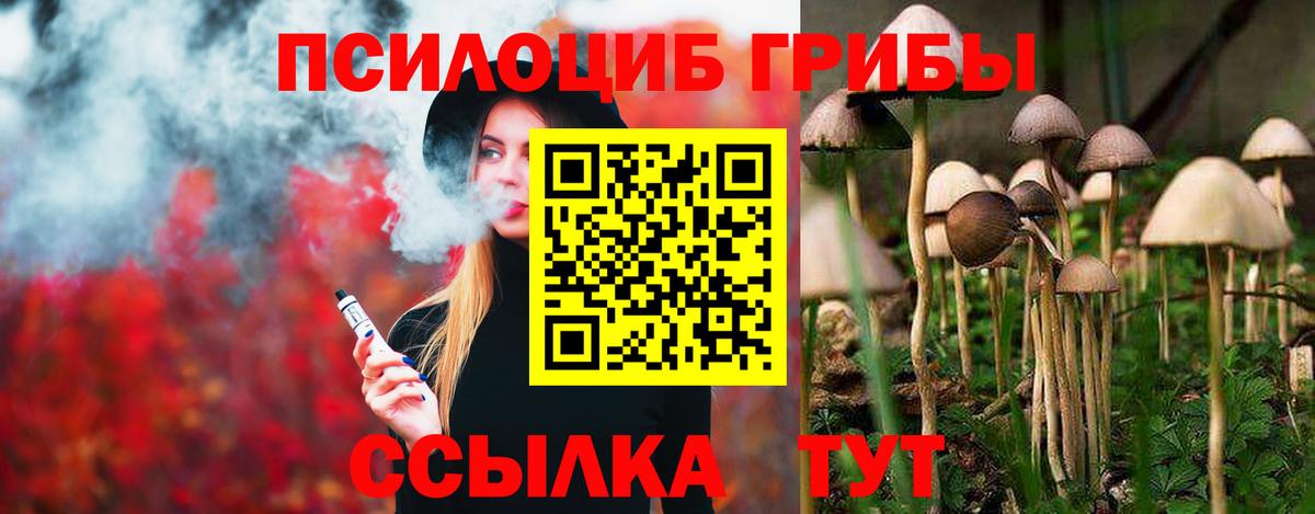 Псилоцибиновые грибы Cubensis Кимовск