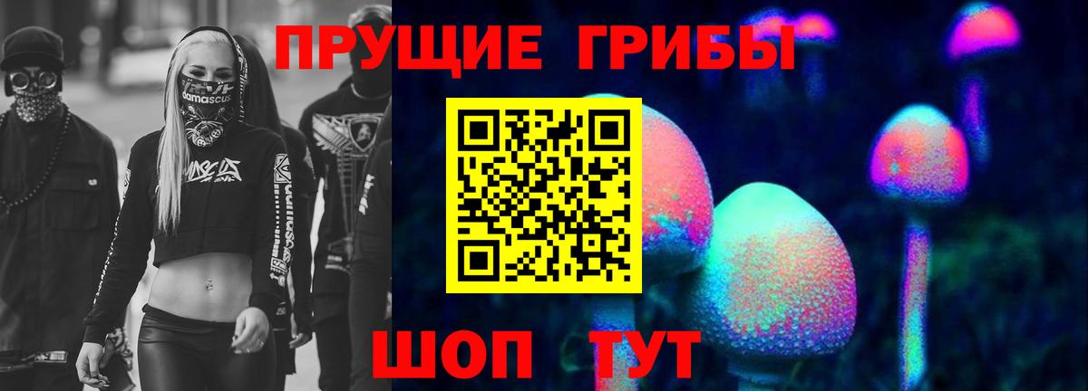 Псилоцибиновые грибы Psilocybine cubensis  Вход с VPN  Кимовск 